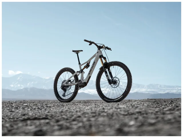 Amflow PX Carbon Pro moonstone gray L 