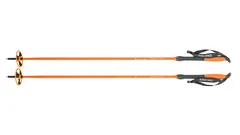 Åsnes Cecilie BC stav 140cm