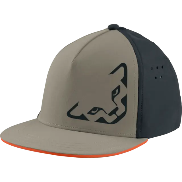 Dynafit Tech Trucker Cap Fallen Rock 