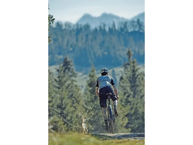 SKS Speedrocker XL 28" skjermsett 