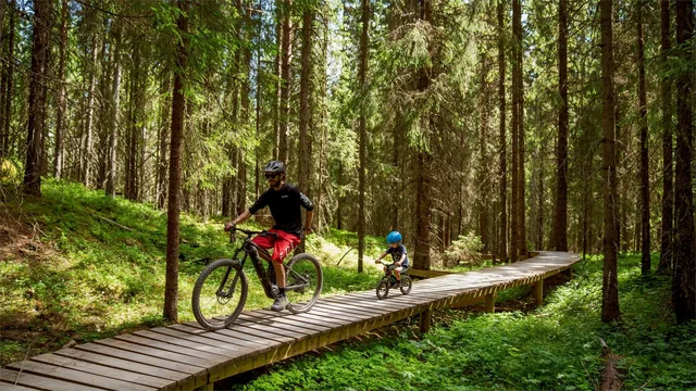 Kidreel Drakassett Rosa 