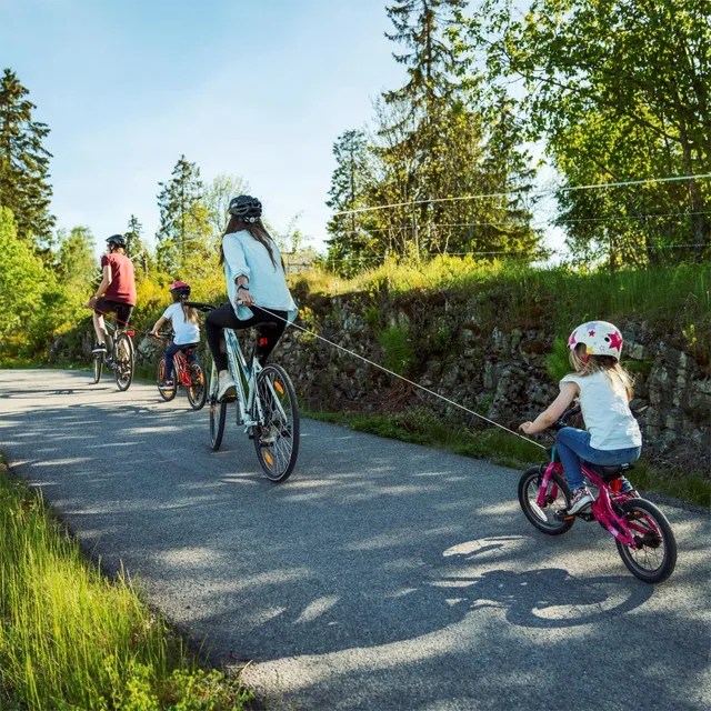 Kidreel Drakassett Rosa 