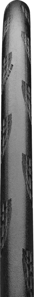 Continental GP 5000 S TR 700x28C 700x28C Sort/Transparent