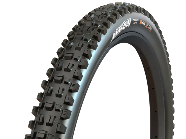 Maxxis Assegai 29x2.50 WT TR EXO+ Dekk 