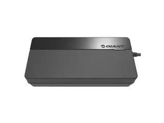 Giant EnergyPak Smart Charger 4A